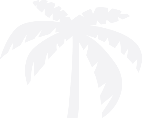 Palmier Noir Illustration